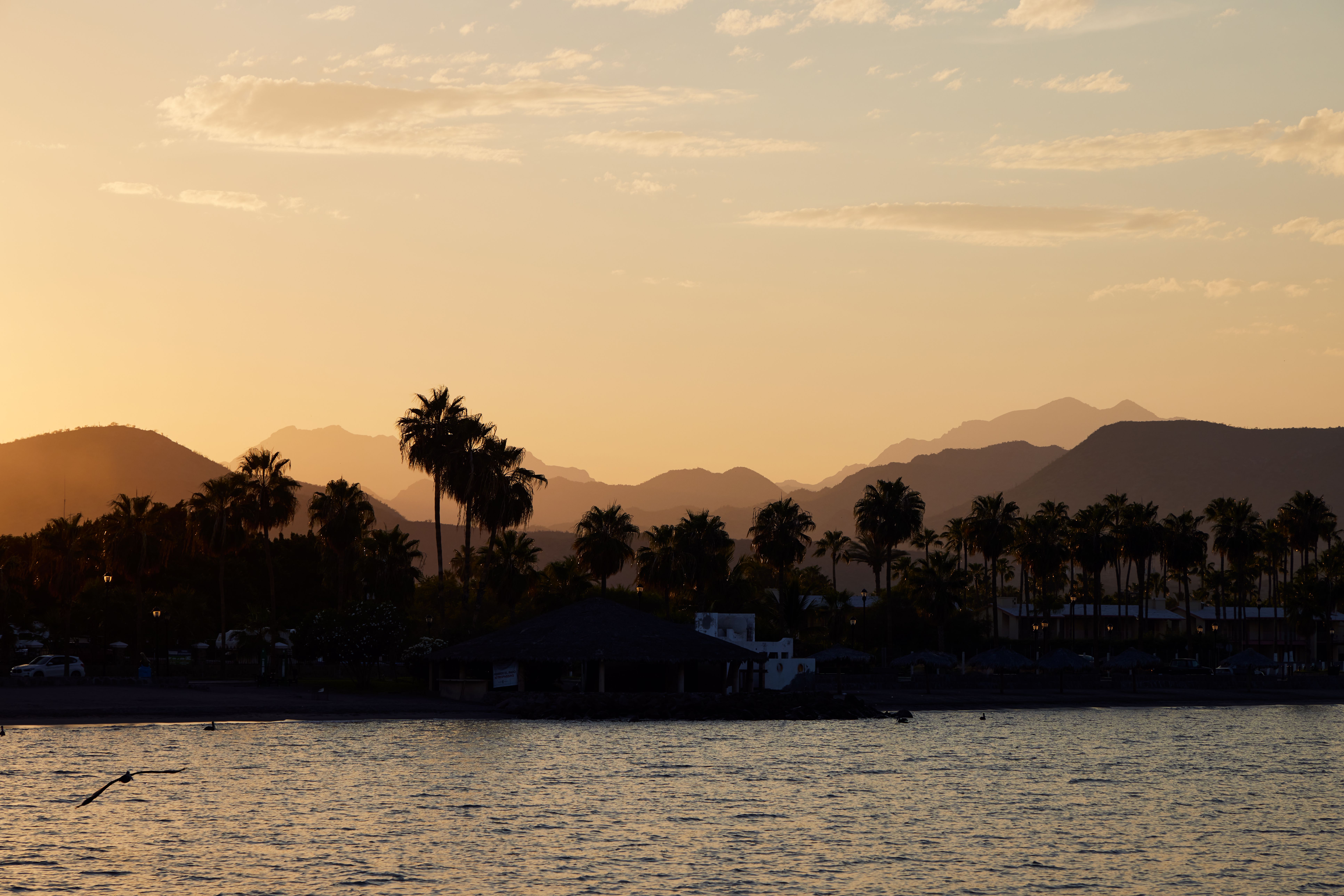 Landscape view of Loreto with architecture and palm trees in sunset, Baja peninsula in the state of Baja California Sur. Mexico