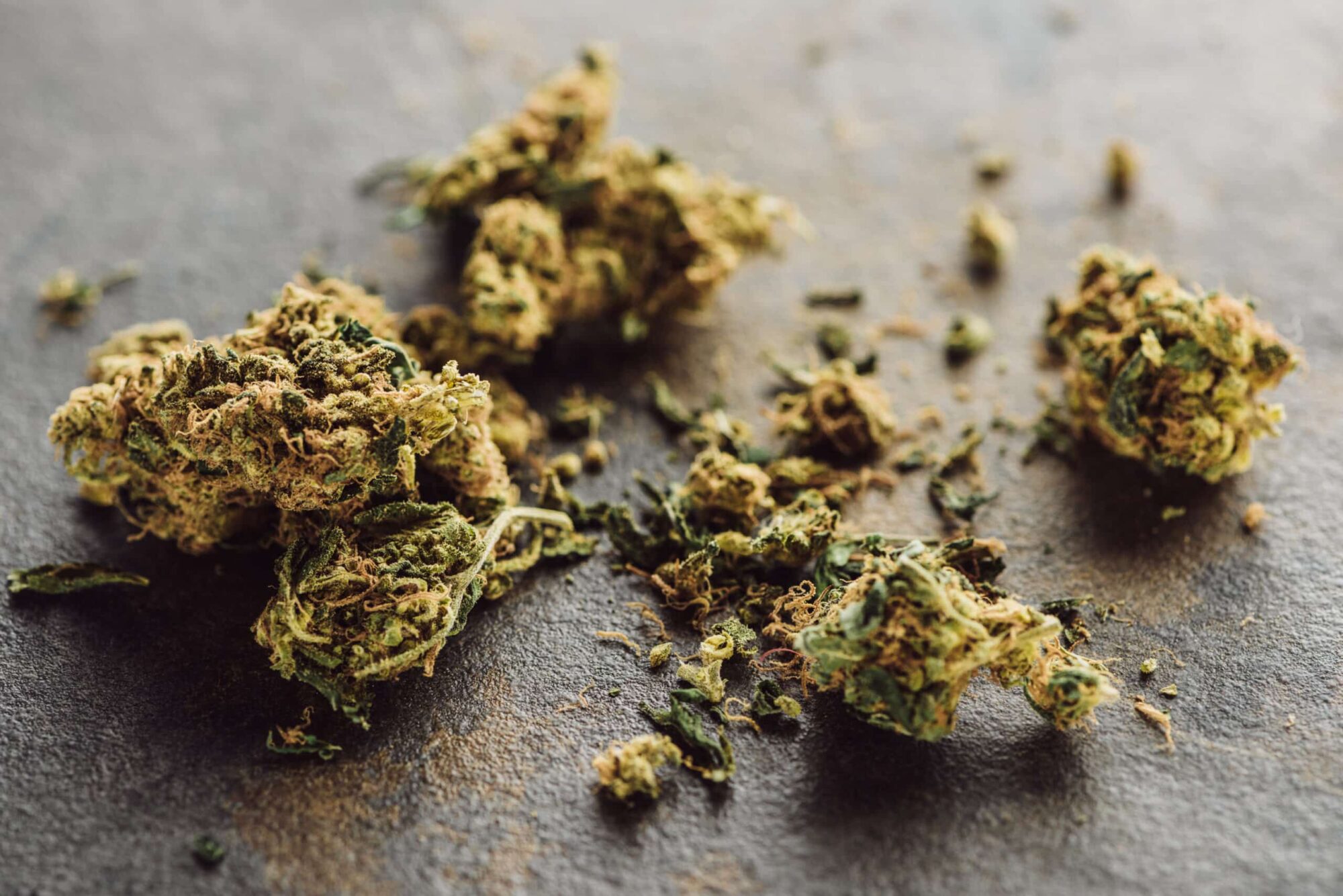 close up view of medical marijuana buds on marble 2026 01 06 00 03 25 utc scaled e1770407435216